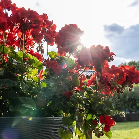 Ferienhuette Puutz דירה