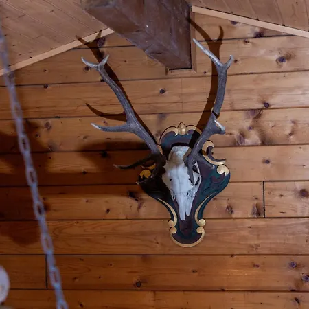 Ferienhuette Puutz *