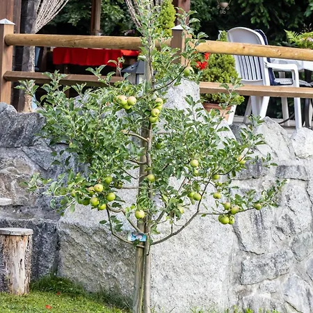 Ferienhuette Puutz Apartmán Wörgl