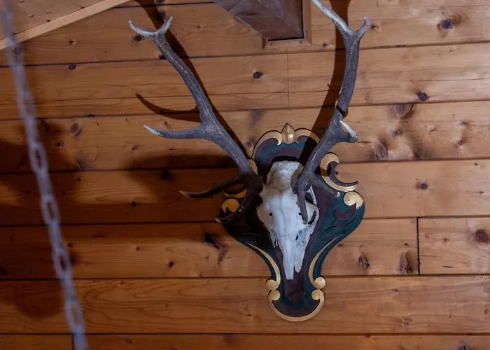 Ferienhuette Puutz *