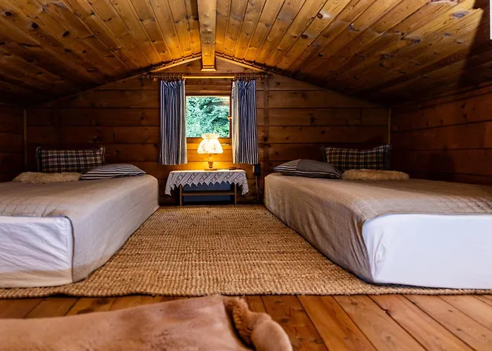 公寓 Ferienhuette Puutz 沃格尔