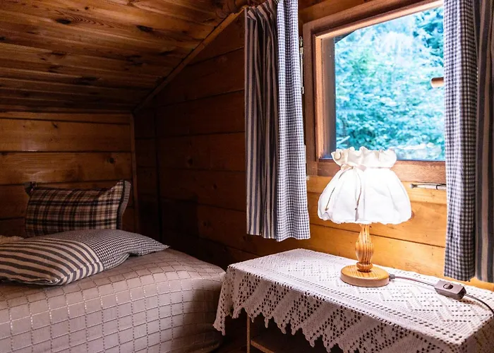 公寓 Ferienhuette Puutz 沃格尔