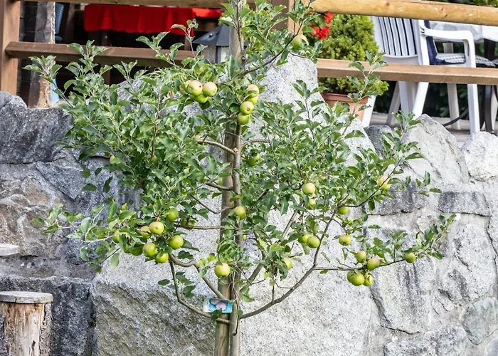 Ferienhuette Puutz 公寓 沃格尔